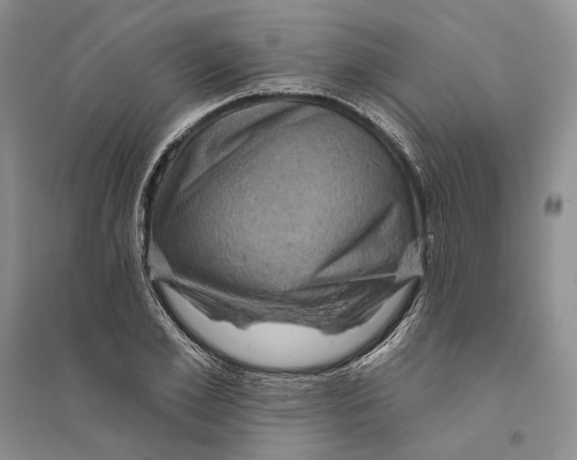 X0000094070981200711091148