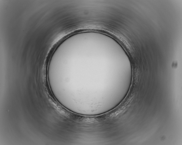 X0000094070982200711091148
