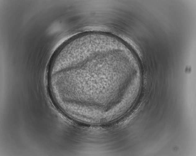 X0000094070983200711091148