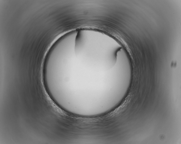 X0000094070984200711091148