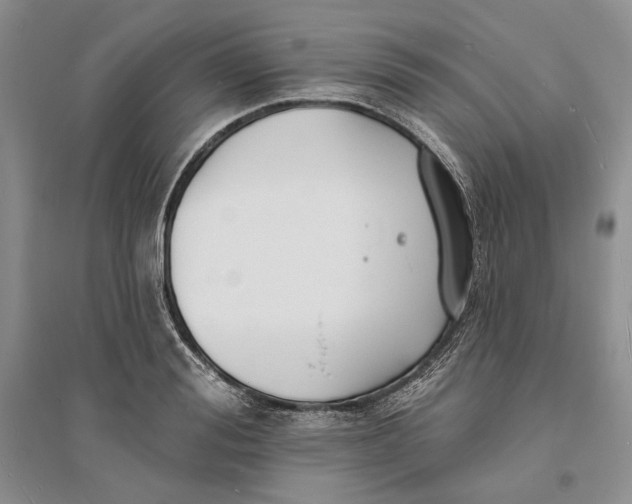 X0000094070988200711091147