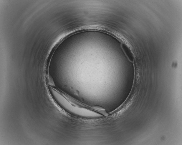 X0000094070989200711091147