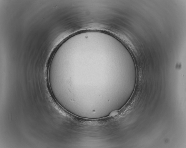 X0000094070990200711091147