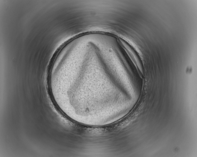 X0000094070991200711091147