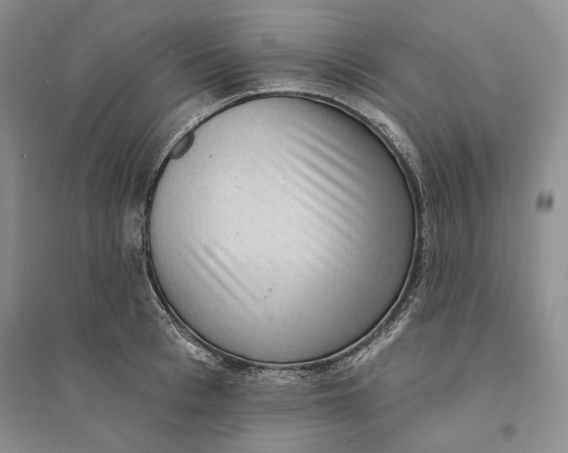 X0000094070993200711091147