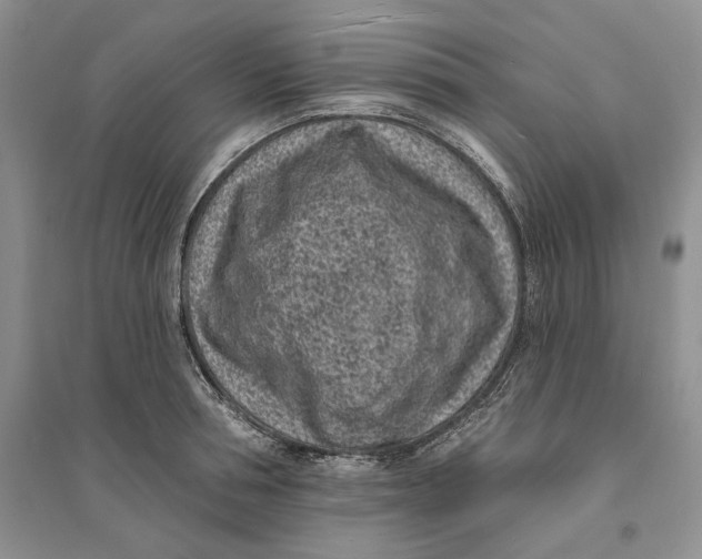 X0000094070994200711091147
