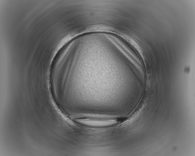 X0000094070997200711091147