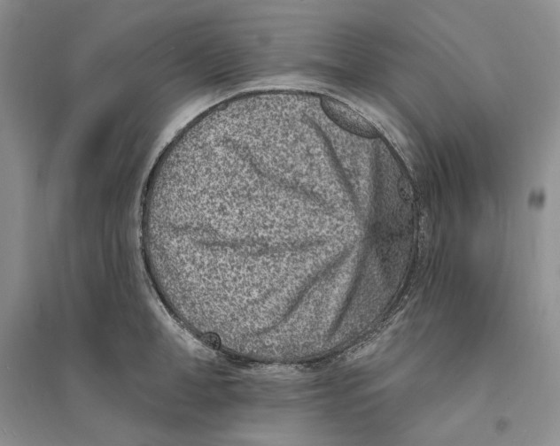 X0000094070998200711091147
