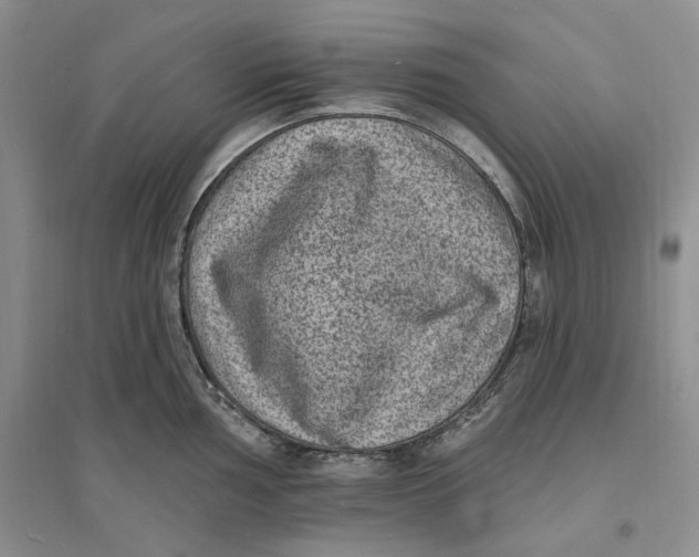 X0000094071002200711091147