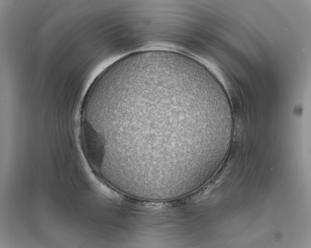 X0000094071003200711091147