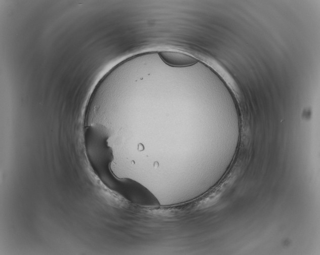 X0000094071004200711091147