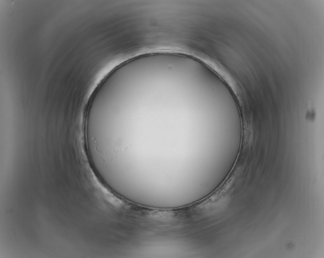 X0000094071006200711091147