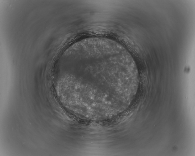 X0000094071009200711091146