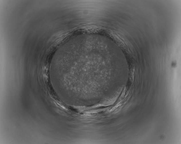 X0000094071010200711091146