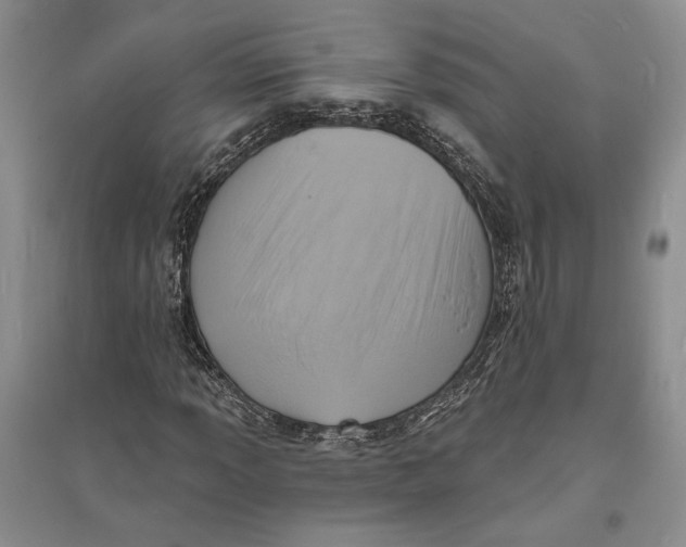 X0000094071013200711091146