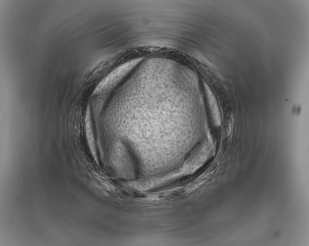 X0000094071014200711091146