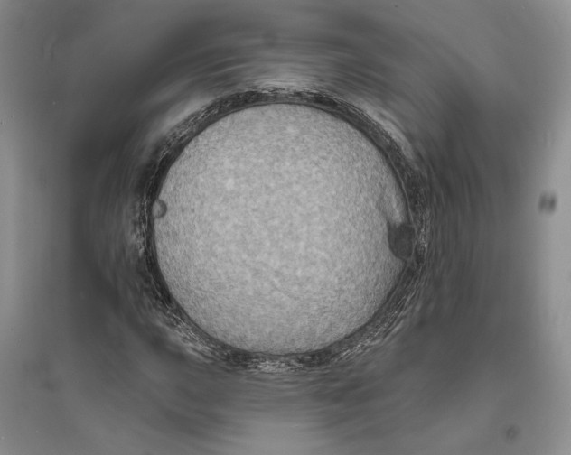X0000094071015200711091146