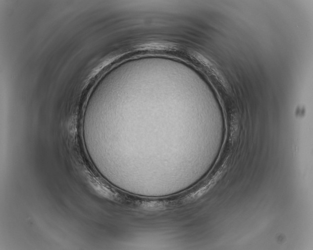 X0000094071017200711091146