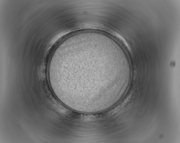 X0000094071019200711091146