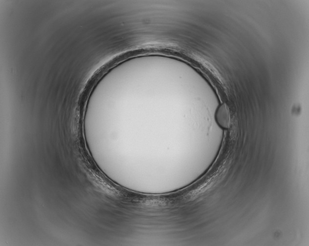 X0000094071021200711091146