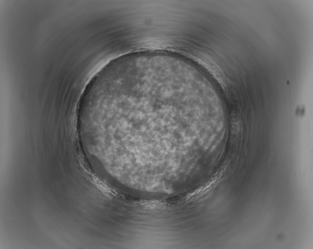 X0000094071023200711091147