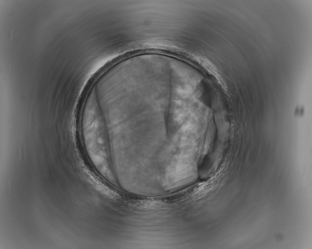 X0000094071024200711091147