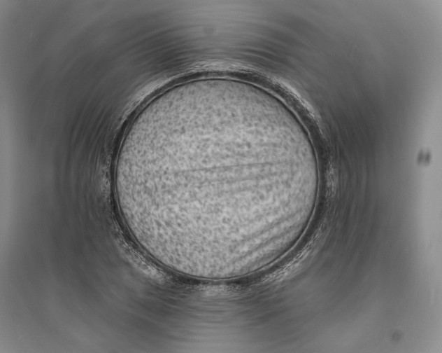 X0000094071025200711091147
