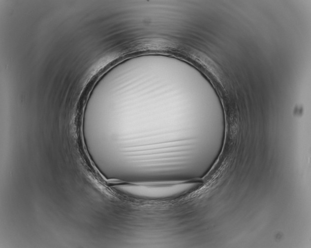 X0000094071026200711091147