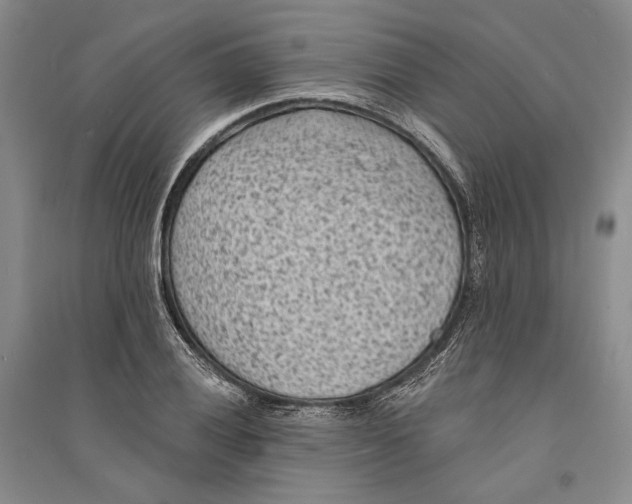 X0000094071028200711091147
