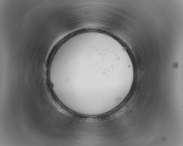 X0000094071029200711091147