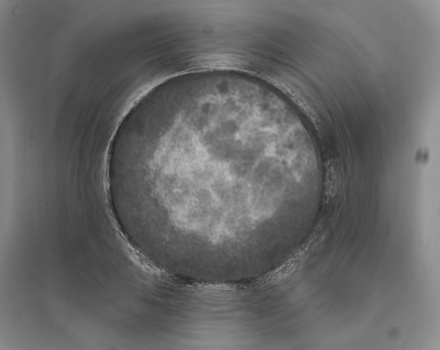 X0000094071031200711091147