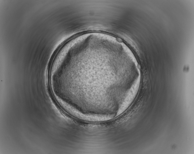 X0000094071032200711091147