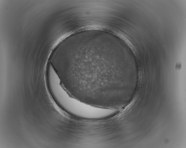 X0000094071034200711091147
