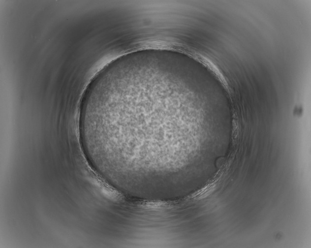 X0000094071035200711091147