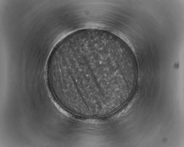 X0000094071037200711091147