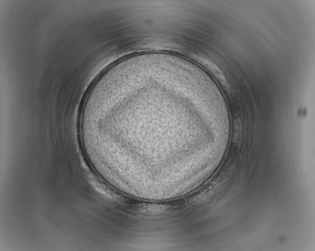 X0000094071039200711091147