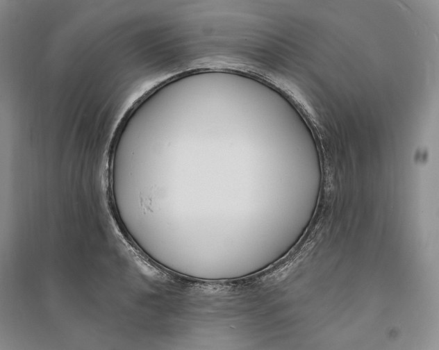 X0000094071040200711091147