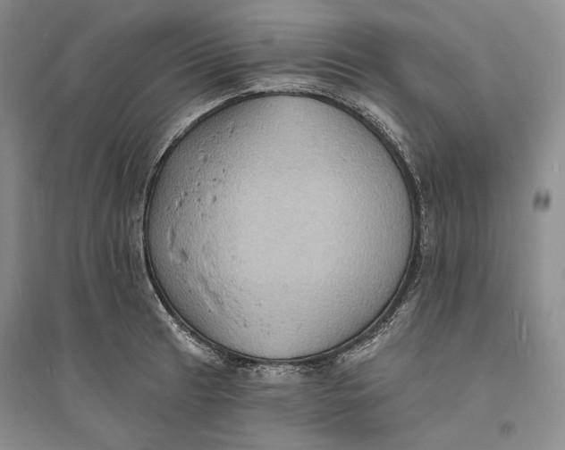 X0000094071041200711091147
