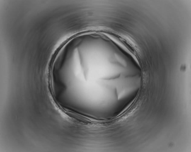 X0000094071046200711091147
