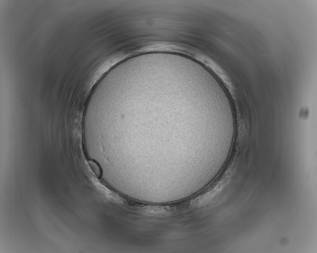 X0000094071049200711091147