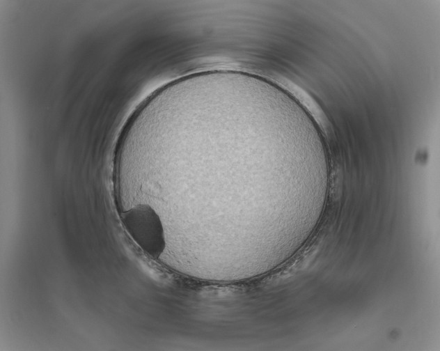 X0000094071051200711091147