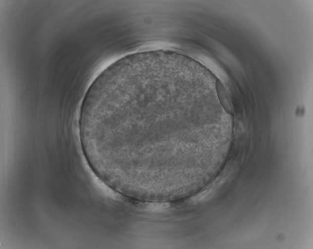 X0000094071055200711091147