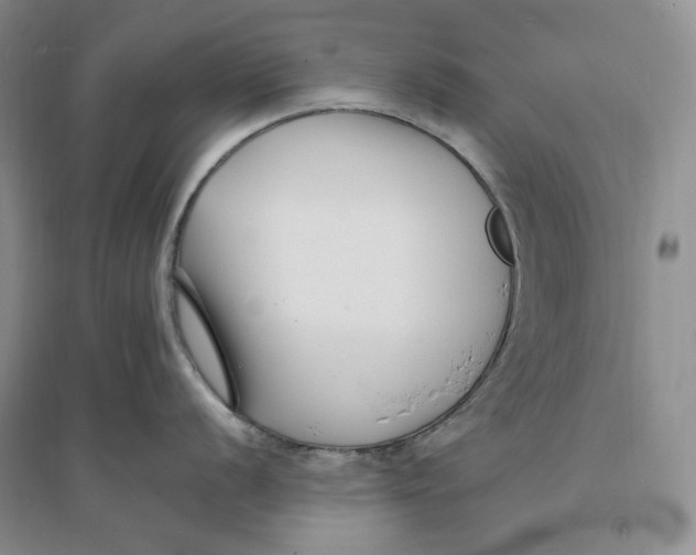X0000094071056200711091147