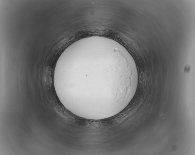 X0000094071058200711091146
