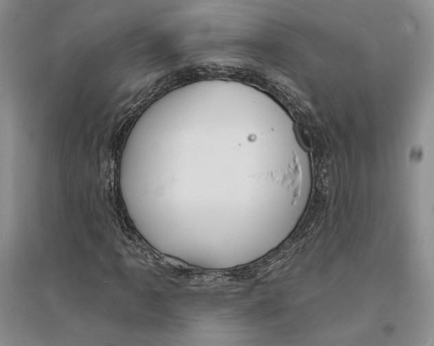 X0000094071061200711091146