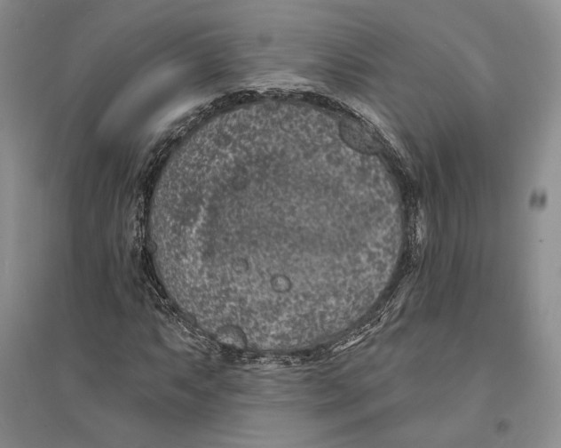 X0000094071063200711091146