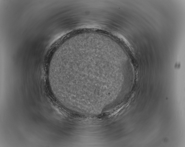 X0000094071064200711091146