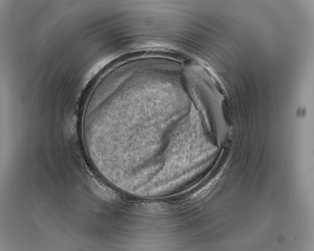 X0000094071066200711091146