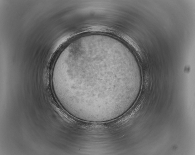 X0000094071067200711091146