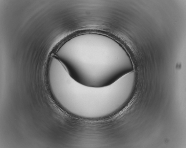 X0000094071069200711091146